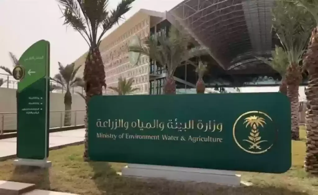 دعم ريف للنساء