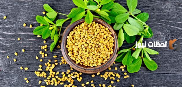 طرق لزيادة الوزن في أسبوع بالحلبة