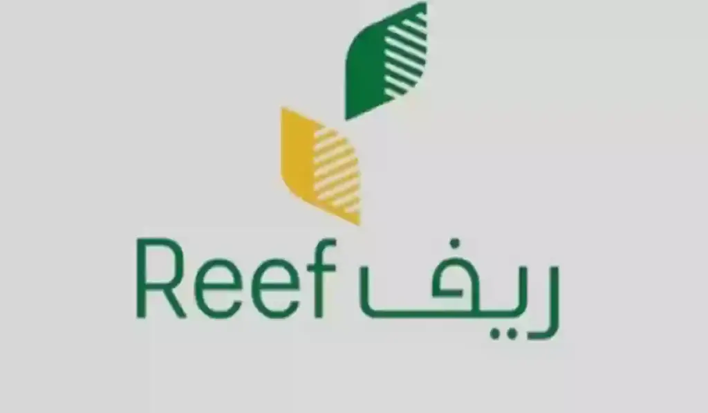 طريقة التسجيل في دعم ريف وشروط الاستحقاق كاملة للراغبين في التسجيل