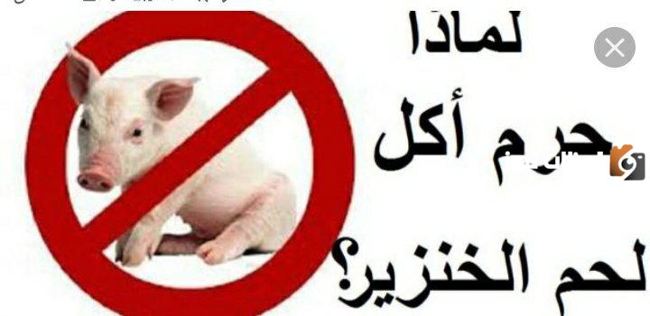لحم الخنزير