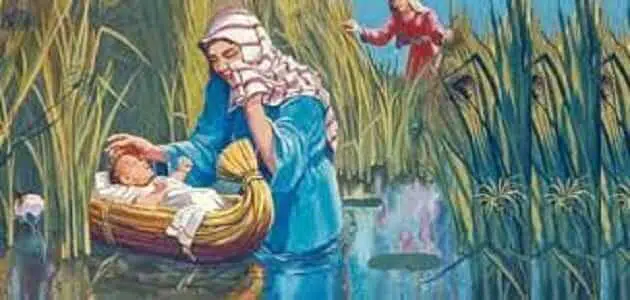 ما هي السور