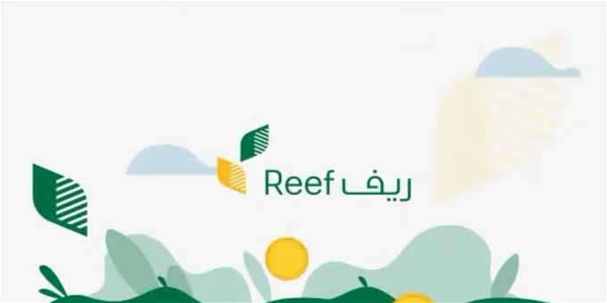 منصة ريف تعلن عن شروط التسجيل