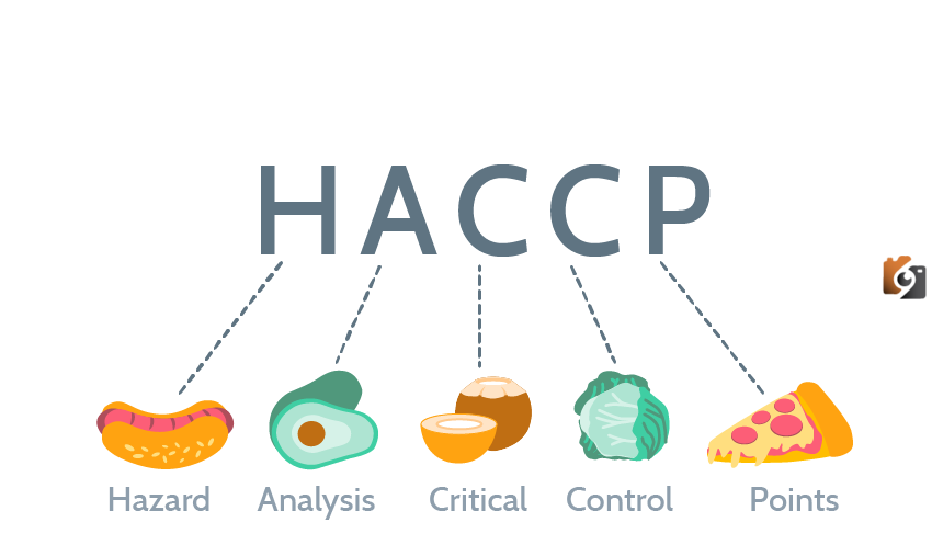 نظام الهاسب