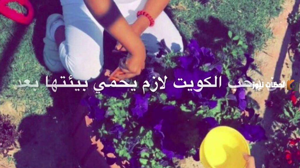 يوم التخضير في الكويت