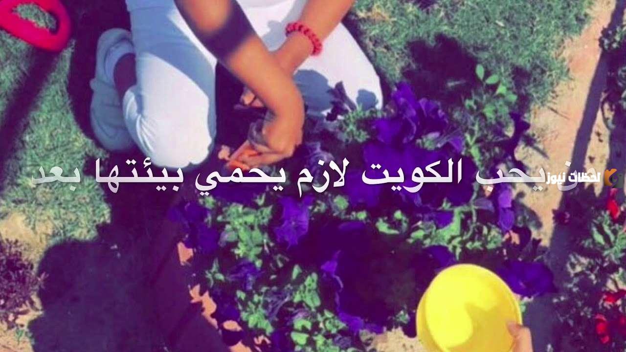 يوم التخضير في الكويت