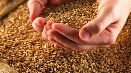 أحكام شرعية عن زكاة عيد الفطر