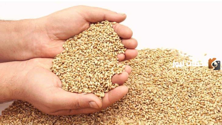 شروط زكاة الفطر