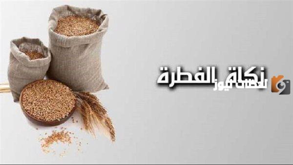 حكم نقل زكاة الفطر وإخراجها قيمة