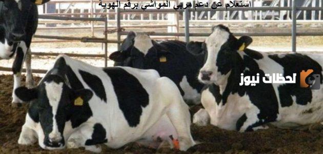 خطوات الاستعلام عن دعم المواشي برقم الهوية