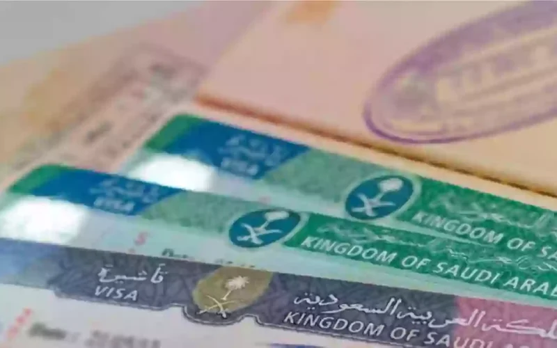رسوم المرافقين