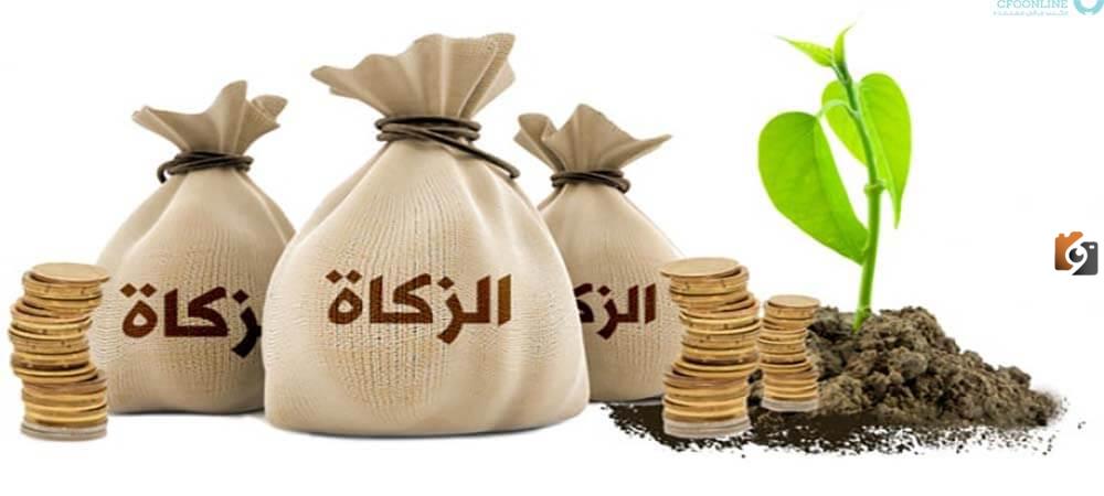 زكاة الفطر في السعودية