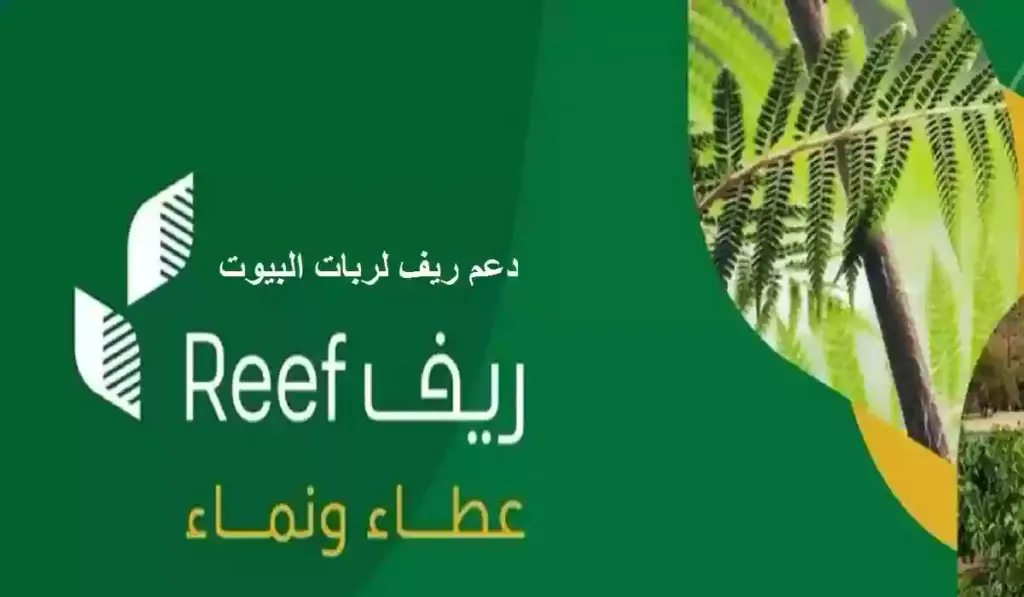 شروط دعم ريف وقيمته