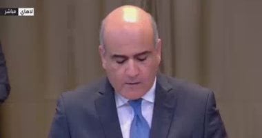 ممثل مصر في محكمة العدل: إسرائيل تمنع الشعب الفلسطيني من ممارسة حقه في تقرير المصير