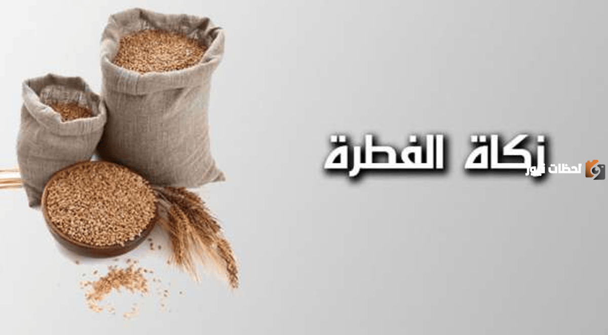 موعد بدء استقبال زكاة عيد الفطر وخطوات استخراج الزكاة عبر المنصة موعد بدء استقبال زكاة عيد الفطر وخطوات استخراج الزكاة عبر المنصة