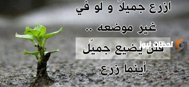 حكم واقوال تويتر