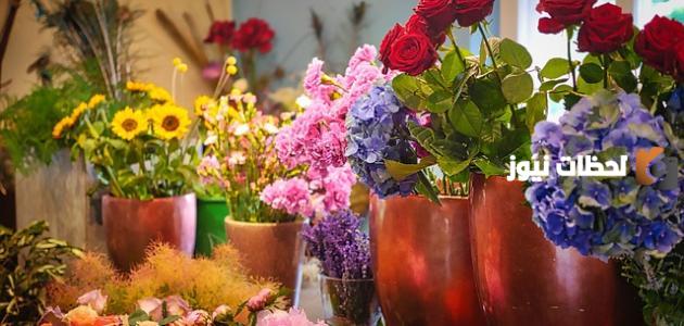 كلام غزل عن الورد 