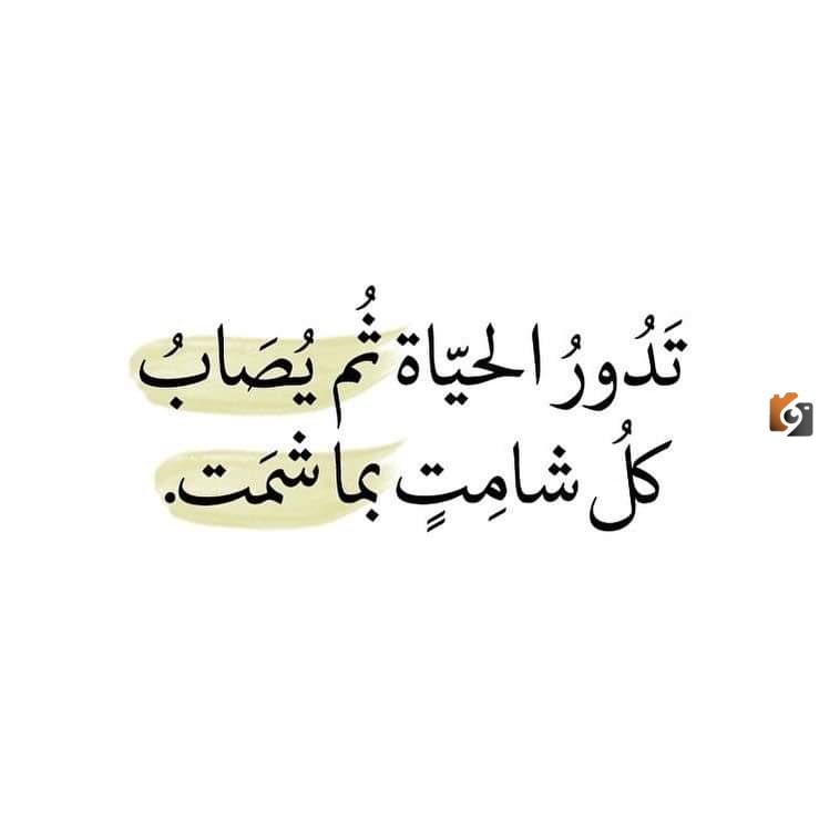 حكم عن الحياة تويتر