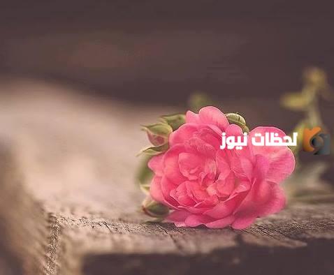 حالات واتس راقية كتابة تويتر وجديدة