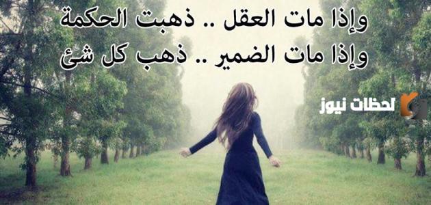 بوستات حكم قصيرة