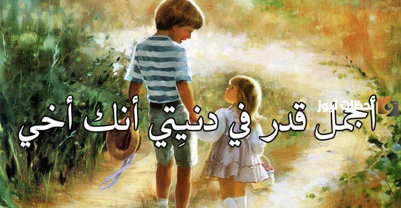 عبارات عن الأخ تويتر