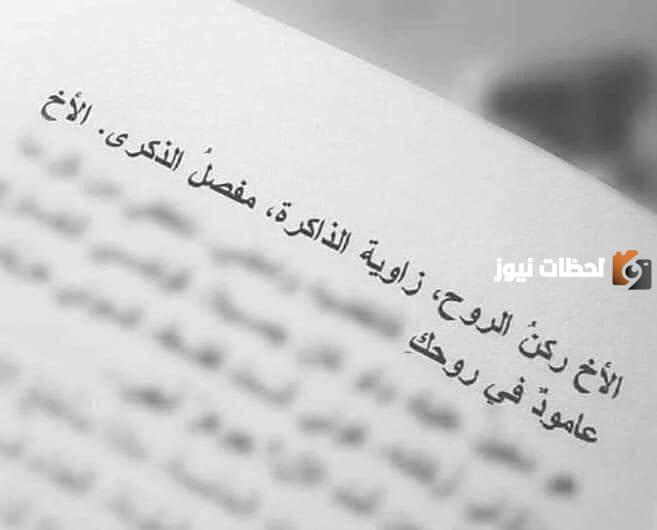 عبارات عن الأخ تويتر