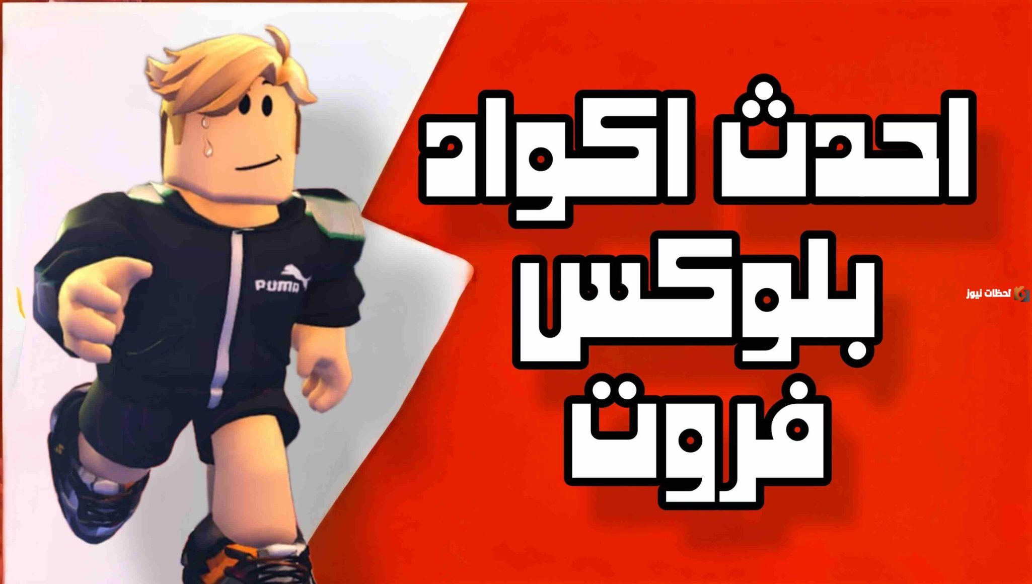 أجدد كودات بلوكس فروت جديده أجدد كودات بلوكس فروت جديده