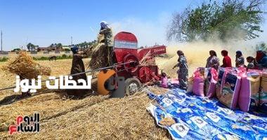 أخبار على مدار الساعة: الحكومة تواصل جهودها لتأمين المخزون الاستراتيجي للقمح