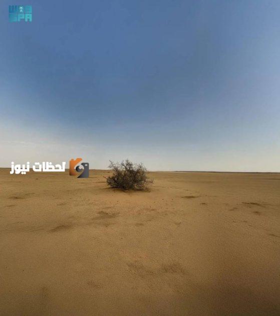 إعادة تأهيل 40 مليون هكتار من الأراضي المتضررة