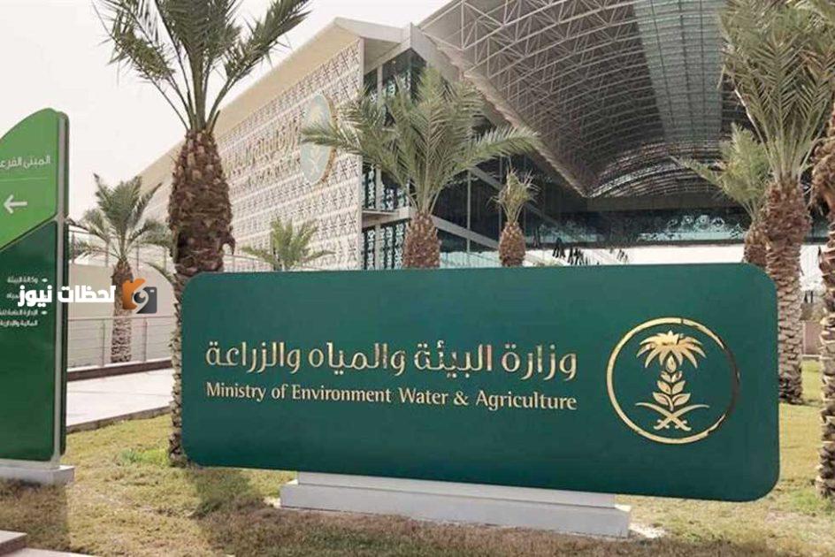 إنشاء 7 محطات لتربية ملكات النحل وإنتاج الطرود في عام 2026