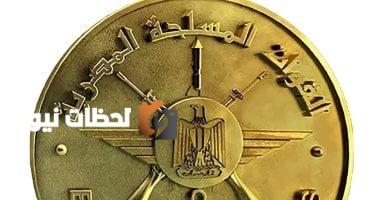 الأردن والإمارات والبحرين تقدم التعازي لمصر في حادث سقوط الطائرة خلال التدريب