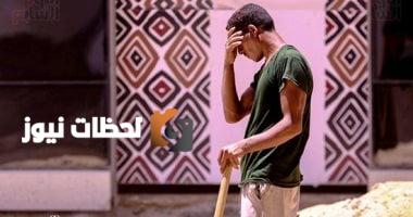 الأرصاد: انخفاض الحرارة 8 درجات وتحديد موعد انكسار الموجة الحارة