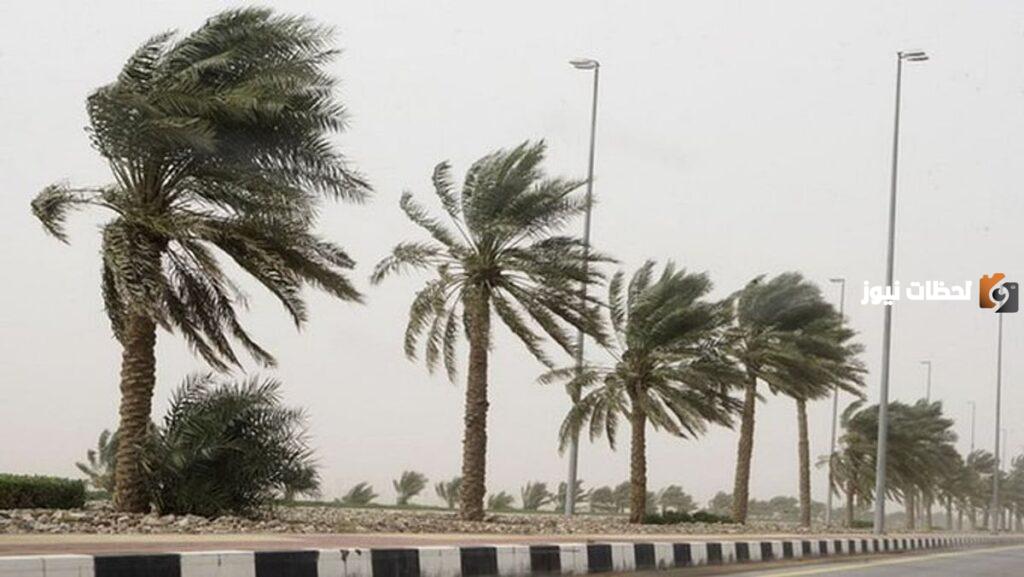 الأرصاد: رياح شديدة على ينبع والرايس