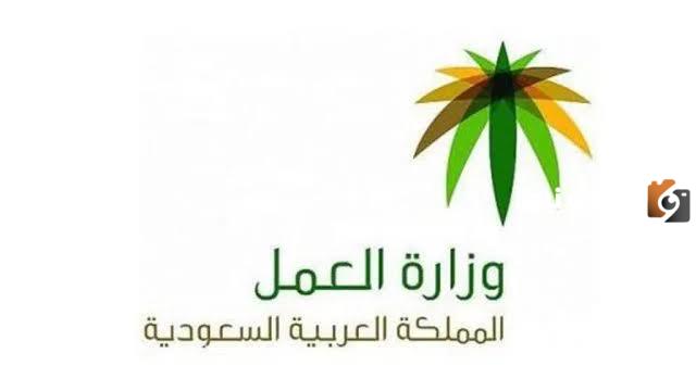 الاستعلام عن نطاق المؤسسة