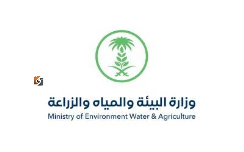 البيئة: بناء 7 محطات لتربية ملكات النحل وإنتاج الطرود بحلول عام 2026