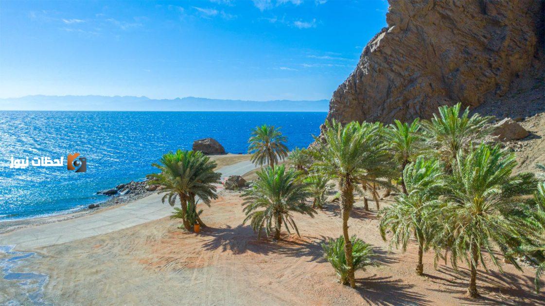 التنوع الاحيائي بالسعودية اثر طبيعي مهم لرفع الاستدامة وتوازن النظم البيئية