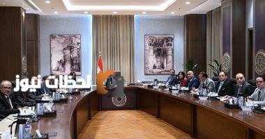 الحكومة: خطة لتوطين صناعة الحرير في مصر عبر تطوير التكتلات الاقتصادية