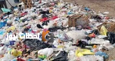 السجن والغرامة عقوبة إلقاء القمامة أو فرزها في مواقع غير مخصصة