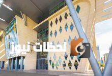 السعودية تتصدر جهود الأوقاف البيئية عالميًا