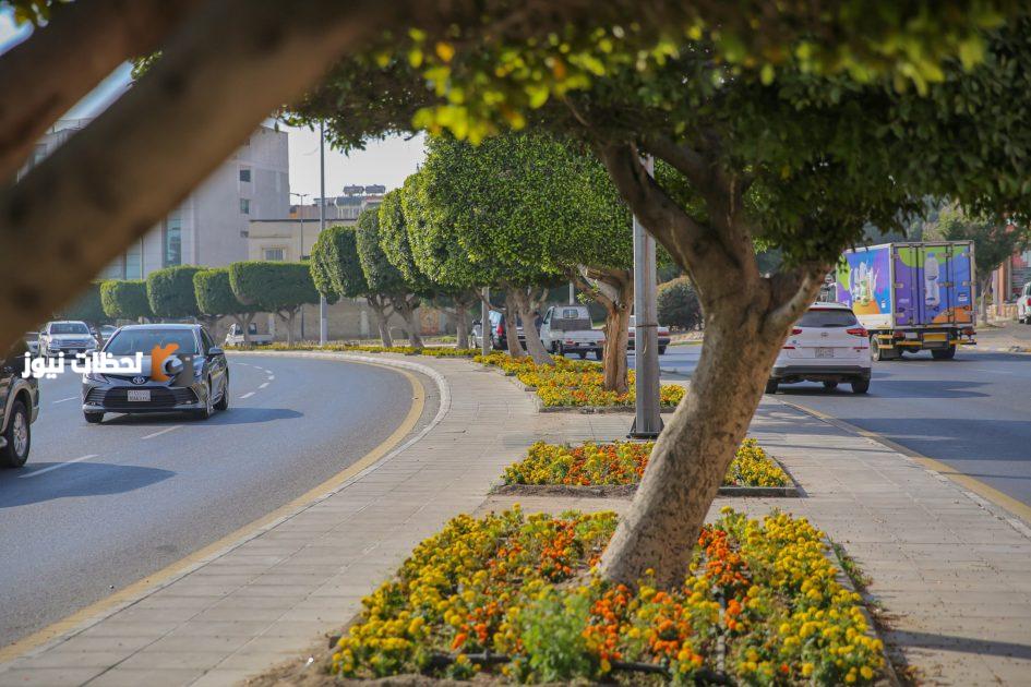 الطائف تستنفر جهودها البلدية لاستقبال الحجاج وتعزيز الصحة العامة في الموسم المقبل
