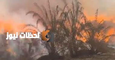 اندلاع حريق يلتهم كميات من الكتان في قرية شبراملس بالغربية ومحاولات من الحماية المدنية للسيطرة عليه