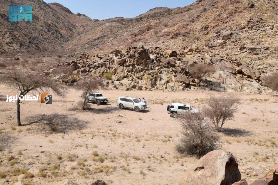 بحث حول استراتيجيات الوقاية من حرائق الغابات