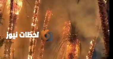 بعد حريق كورنيش النيل.. تعرف على إرشادات الحماية المدنية لتفادي حرائق الأشجار