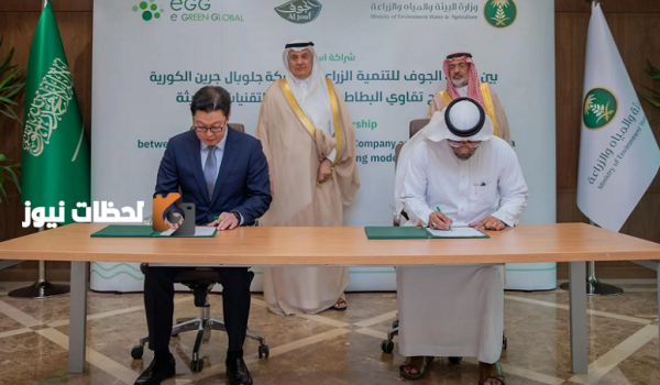 تعاون سعودي كوري لتطوير وزيادة إنتاجية تقاوي البطاطس الزراعية