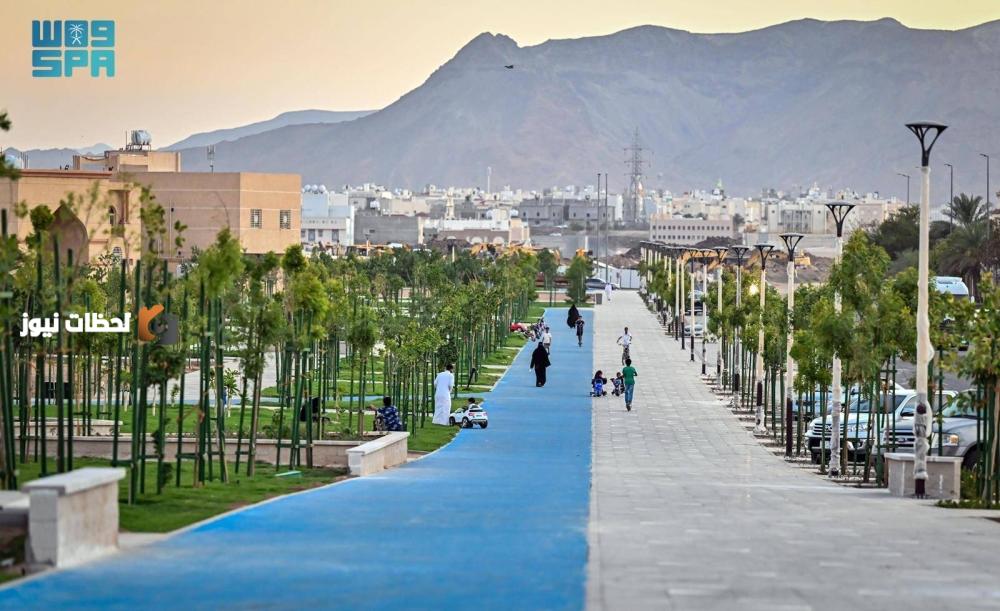 تكنولوجيا الري الذكي للنباتات