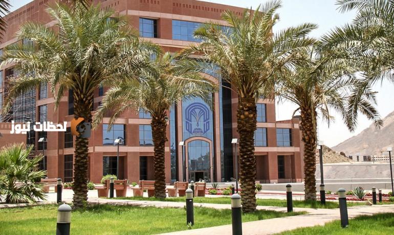 جامعة طيبة تبدأ التسجيل للدراسات العليا في ست كليات للسنة القادمة