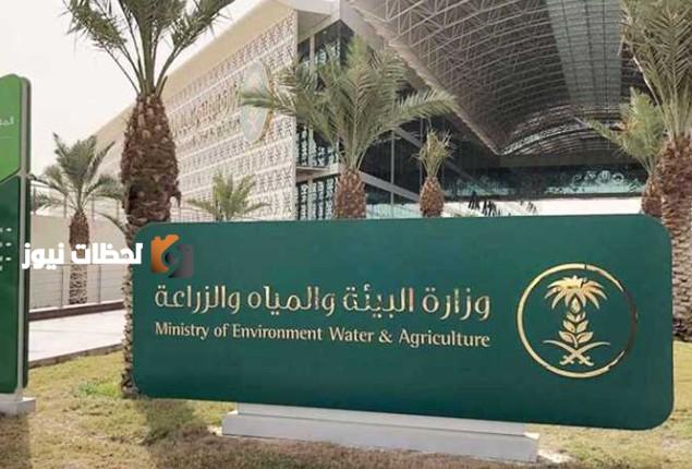 جاهزية ميدانية شاملة للحج بيئة مكة تسخر مواردها لخدمة ضيوف الرحمن