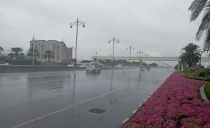 حالة الطقس أمطار وسحب رعدية على مناطق متعددة اليوم