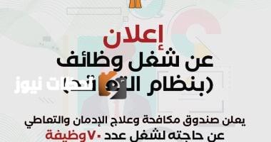خطوات التقديم لوظائف صندوق مكافحة الإدمان: دليل شامل