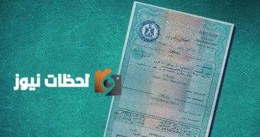دليل المصريين في الخارج: كيفية استخراج شهادة ميلاد لطفلك المولود خارج مصر
