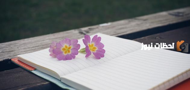 عبارات جميلة عبارات جميلة